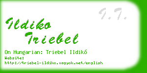 ildiko triebel business card