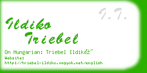 ildiko triebel business card